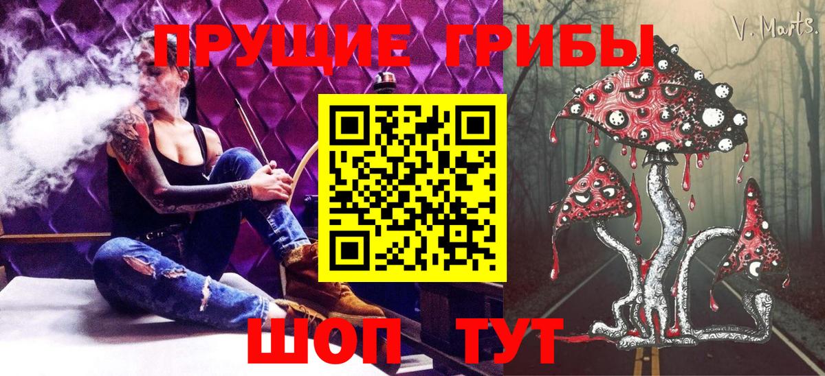 Вольск  Псилоцибиновые грибы прущие грибы  Вход с VPN  где купить наркотик  Псилоцибиновые грибы прущие грибы 