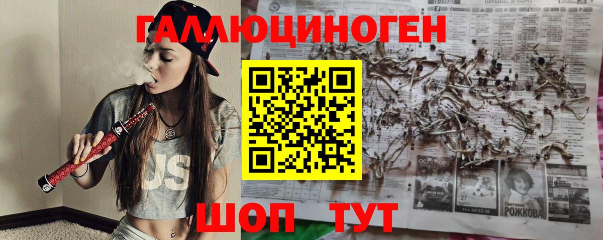 Псилоцибиновые грибы прущие грибы Вольск