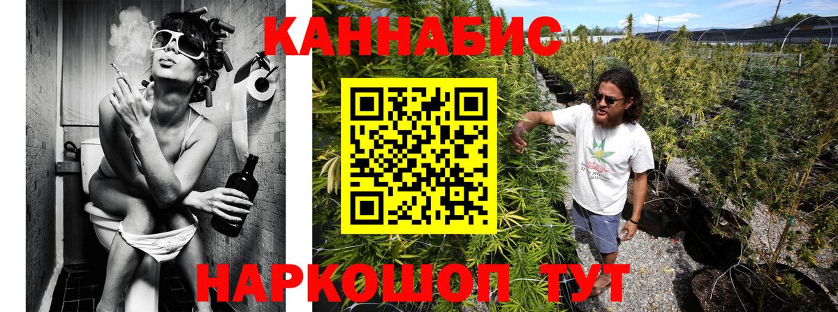 Шишки марихуана план  Бошки марихуана ГИДРОПОН  Вход с VPN  Вольск 